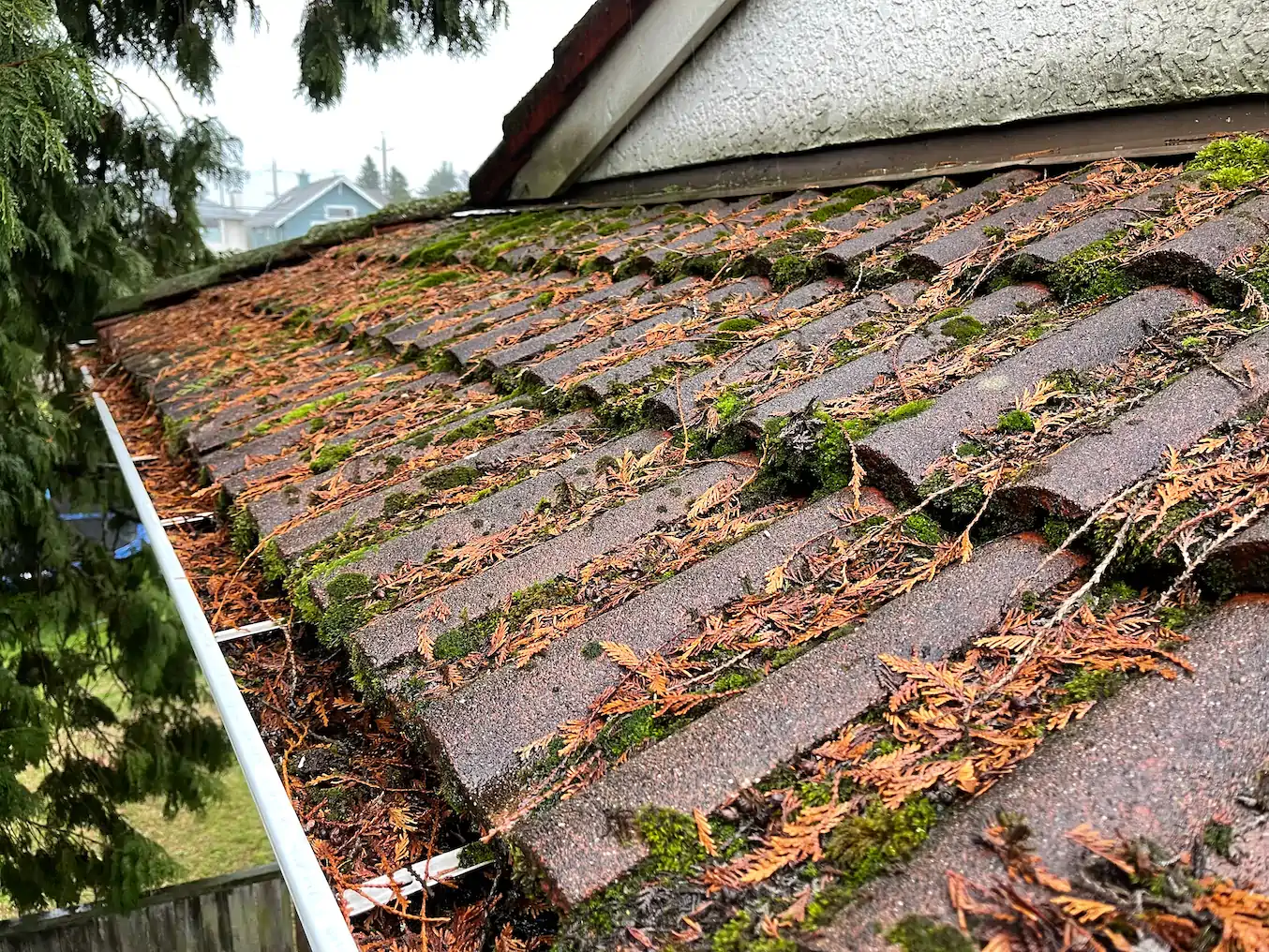 Full Gutters with Debris